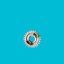 GEAR WHEEL 2508